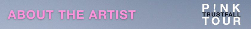P!NK_about.png